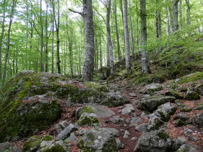 Excursion D Une Journ E Au Monast Re De Rila Et La Grotte De St Ivan