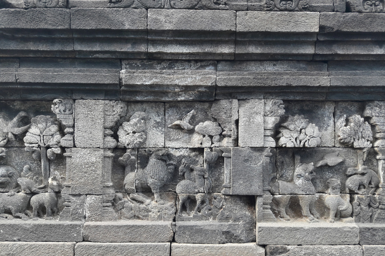 Soluppgång på Merapi-berget, Borobudur-klättring och Prambanan-templet