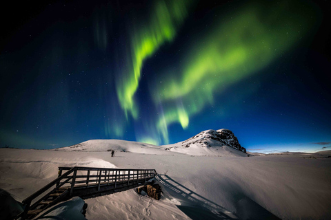 Levi: Caccia all&#039;aurora boreale - Tour fotografico