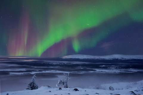 Levi: Noorderlichtjacht - FotografietourLevi: Northern Lights Hunting - Fotografietour