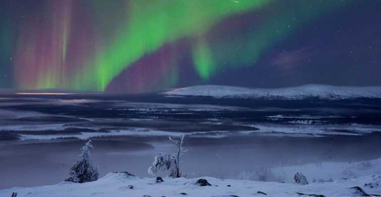 The BEST Levi Northern Lights 2023 - FREE Cancellation GetYourGuide