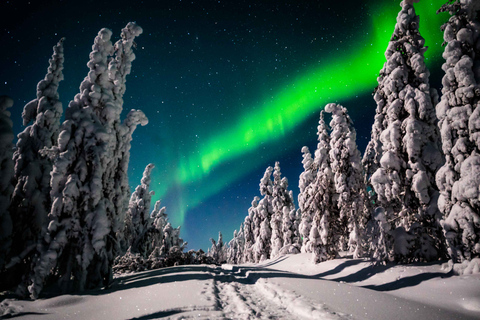 Levi: Caza de auroras boreales - Recorrido fotográfico