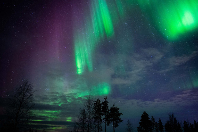 Levi: Caça às Luzes do Norte - Excursão fotográficaLevi: caça à aurora boreal - passeio fotográfico