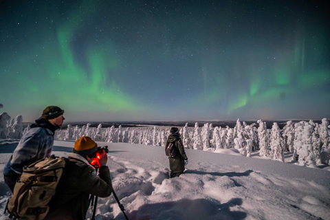 Levi: Caça às Luzes do Norte - Excursão fotográficaLevi: caça à aurora boreal - passeio fotográfico