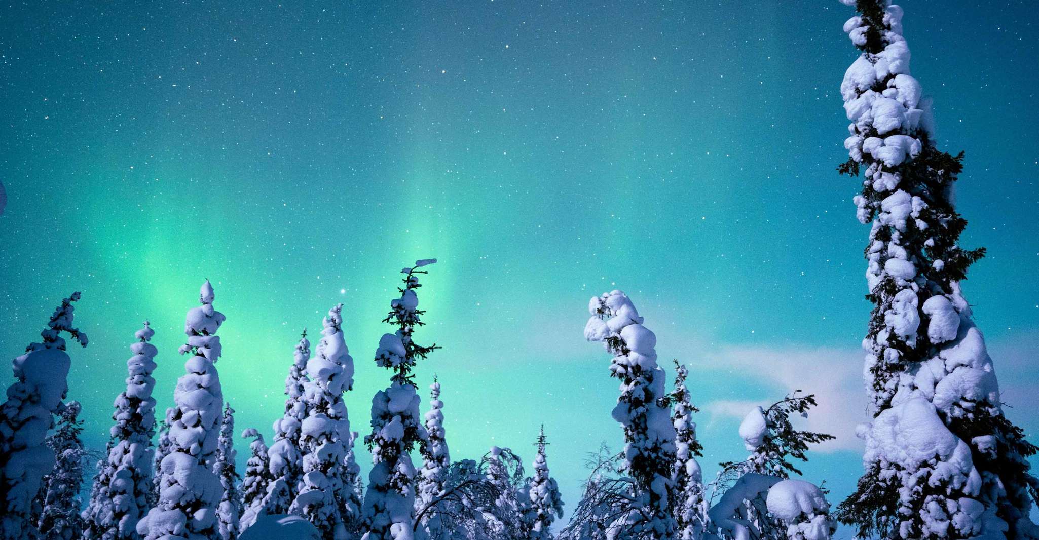 Levi, Northern Lights Hunting - Photography Tour - Housity