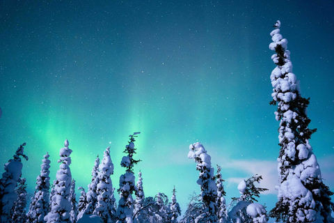 Levi: Caça às Luzes do Norte - Excursão fotográficaLevi: caça à aurora boreal - passeio fotográfico