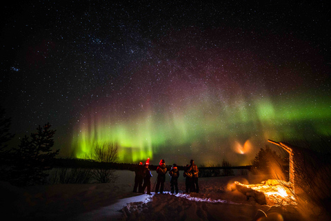 Levi: Caça às Luzes do Norte - Excursão fotográficaLevi: caça à aurora boreal - passeio fotográfico