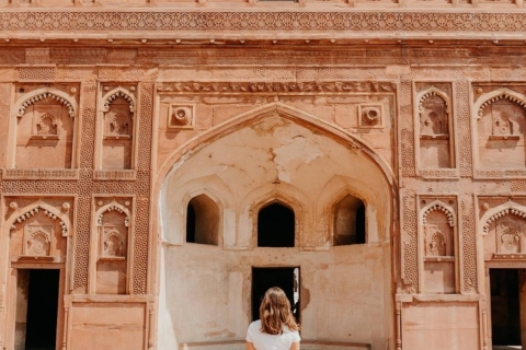 Au départ de Delhi : visite privée d'une journée à Tajmahal et au fort d'Agra