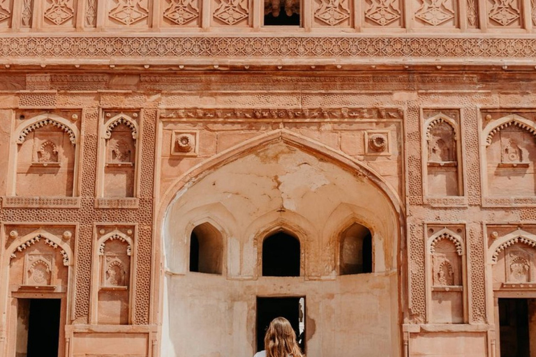 Au départ de Delhi : visite privée d'une journée à Tajmahal et au fort d'Agra