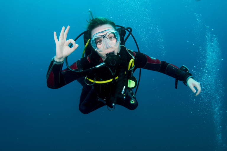 Prueba el submarinismo por primera vez en Dubai