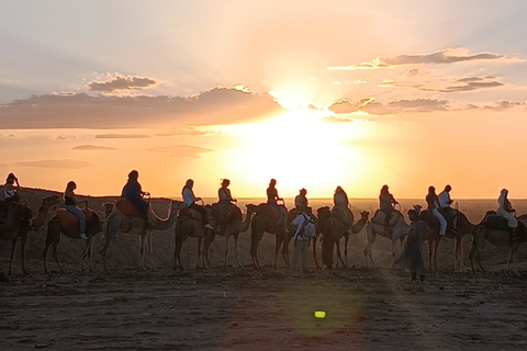 Marrakech : VTT et chameau avec coucher de soleil et dîner-spectacleRandonnée en quad et à dos de chameau et dîner-spectacle