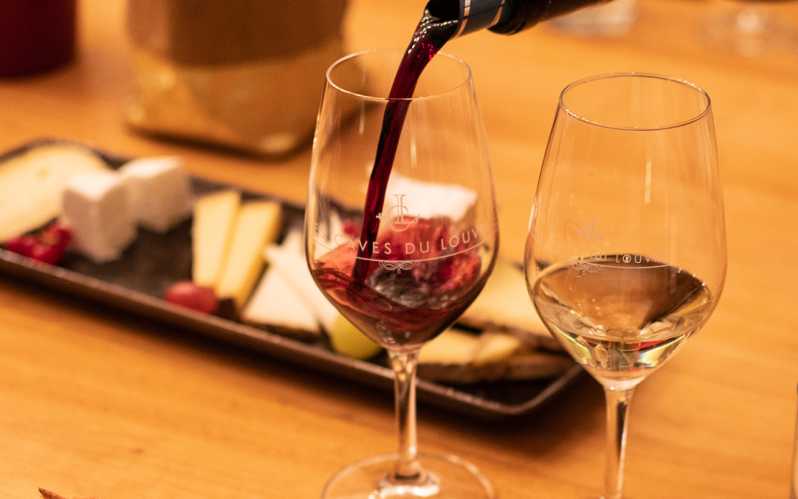 Paris: Experiência de degustação de vinhos e queijos Apéro