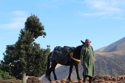 Cultural Day Trip To The Atlas Mountain from Marrakesh Guided tour of the Atlas Mountains in Amizmiz