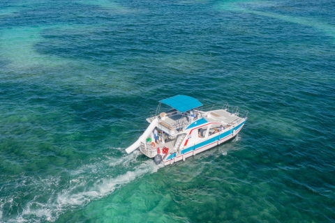 Premium Croisière semi-privée en catamaran avec déjeuner