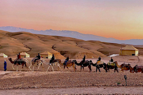 Balade à dos de chameau au coucher du soleil dans le désert d'Agafay