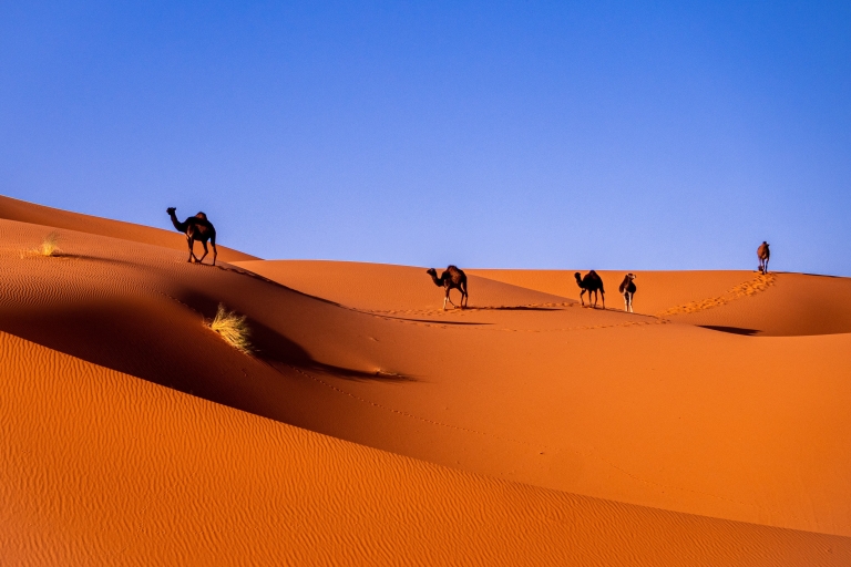 7 jours de Tanger à Marrakech, Fès et le désert du Sahara