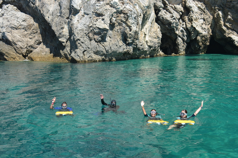 Desde Sesimbra: Costa de Arrábida SeaView Board Tour