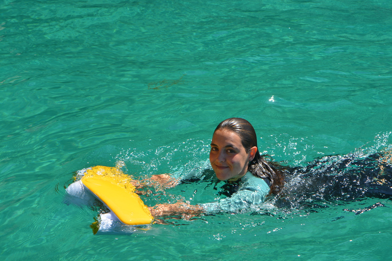 Van Sesimbra: Arrábida Coast SeaView Board Tour