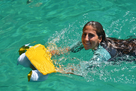 Desde Sesimbra: Costa de Arrábida SeaView Board Tour