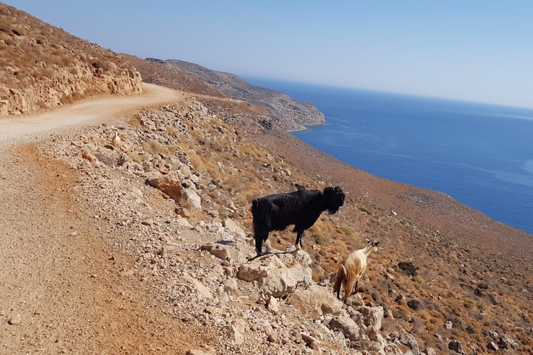 Balos Beach Off-Road Bus – Daily Departure from Kissamos 8:00 - 13:00 BALOS BUS