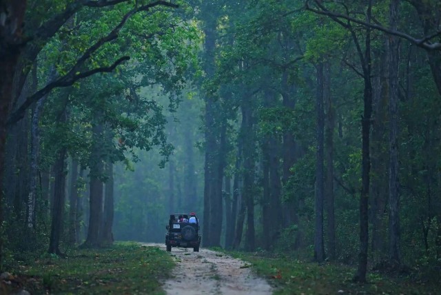 Visit Kanha National Park Open Jeep Tiger Safari in Kanha Kisli in Bandhavgarh National Park, Madhya Pradesh