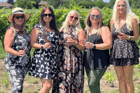 Ontario: Afternoon Wine Tour and Cheese Pairing Tour with Pickup and Drop-off