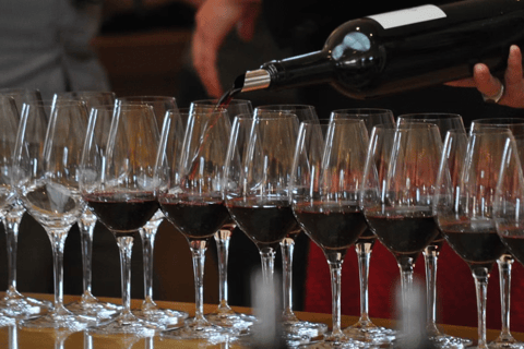 Niagara-on-the-Lake: Bicycle Tour with Wine Tasting Tour from Meeting Point