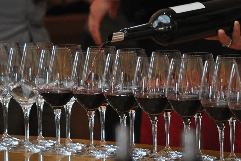 Niagara-on-the-Lake: Bicycle Tour with Wine Tasting Tour from Meeting Point