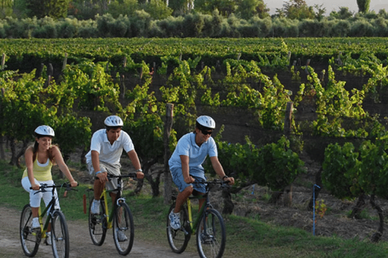 Niagara-on-the-Lake: Bicycle Tour with Wine Tasting Tour from Meeting Point