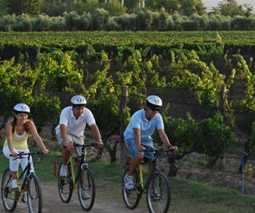 Niagara-on-the-Lake: Passeio de bicicleta com degustação de vinhos