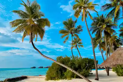 Caribbean Paradise: Explore the Magic of Saona Island