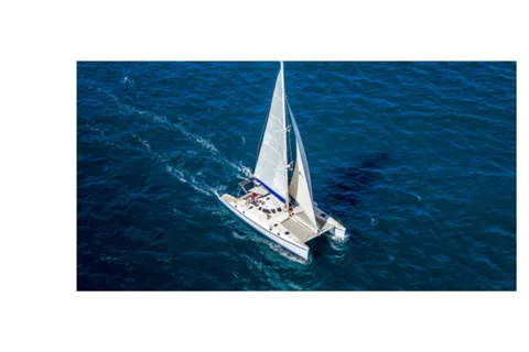 Saona Island From Santo Domingo With Catamaran, Food & Drink