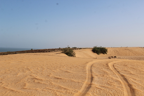 Från Agadir: 4×4 Sahara Desert Safari med lunch och upphämtning