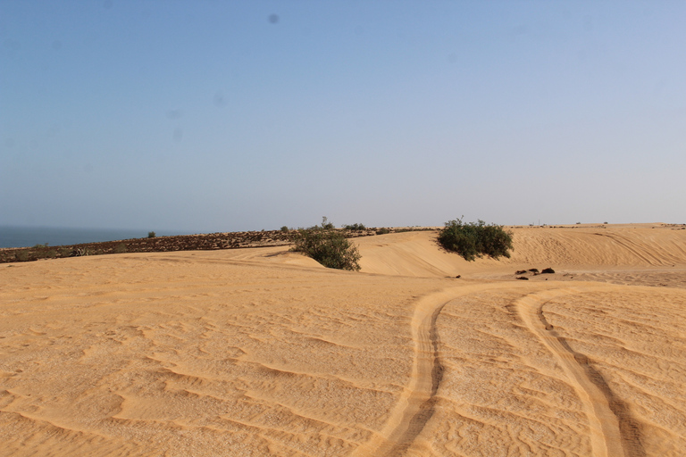 De Agadir: 4 × 4 Sahara Desert Safari com almoço e coleta