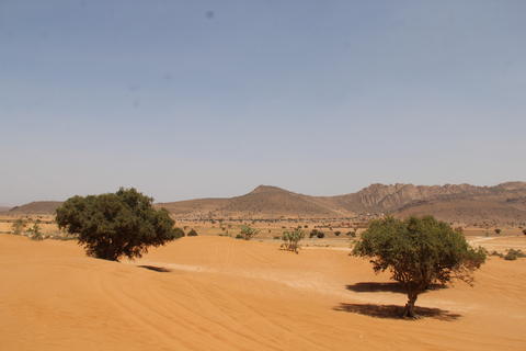 From Agadir: 4×4 Sahara Desert Safari with Lunch and Pickup