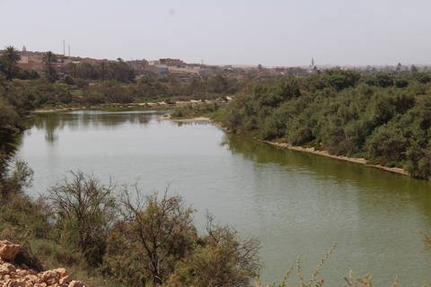 Från Agadir: 4×4 Sahara Desert Safari med lunch och upphämtning