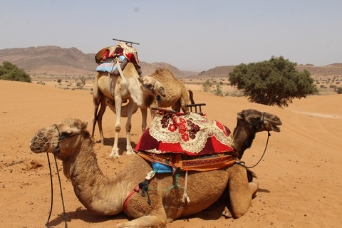 Desde Agadir: Safari 4×4 por el desierto del Sahara con almuerzo y recogida