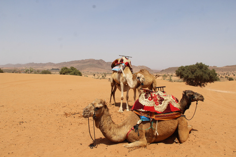 Van Agadir: 4×4 Sahara-woestijnsafari met lunch en ophalenVanuit Agadir: 4×4 Sahara-woestijnsafari met lunch en ophalen