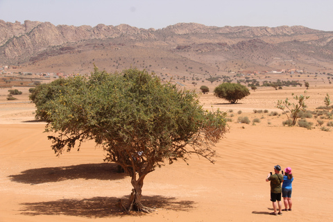 Van Agadir: 4×4 Sahara-woestijnsafari met lunch en ophalenVanuit Agadir: 4×4 Sahara-woestijnsafari met lunch en ophalen