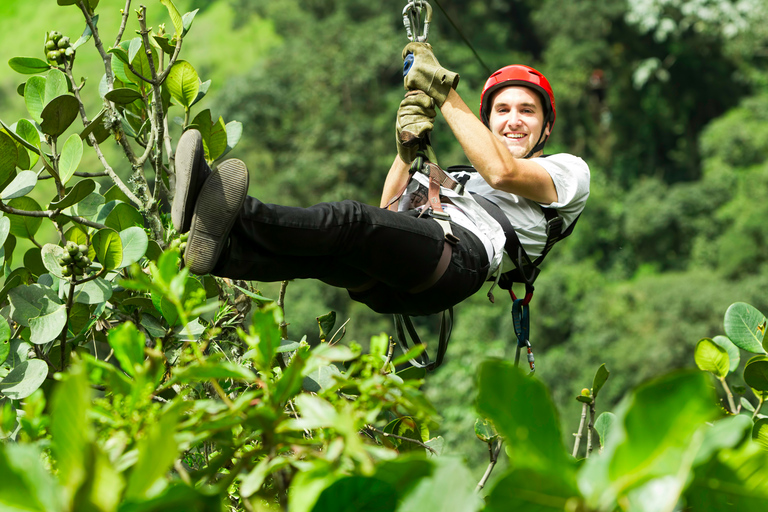 ATV's, ZIPLINE & CENOTE