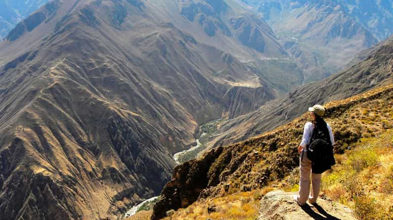 Depuis Arequipa : Excursion d'une journée au Canyon de Colca