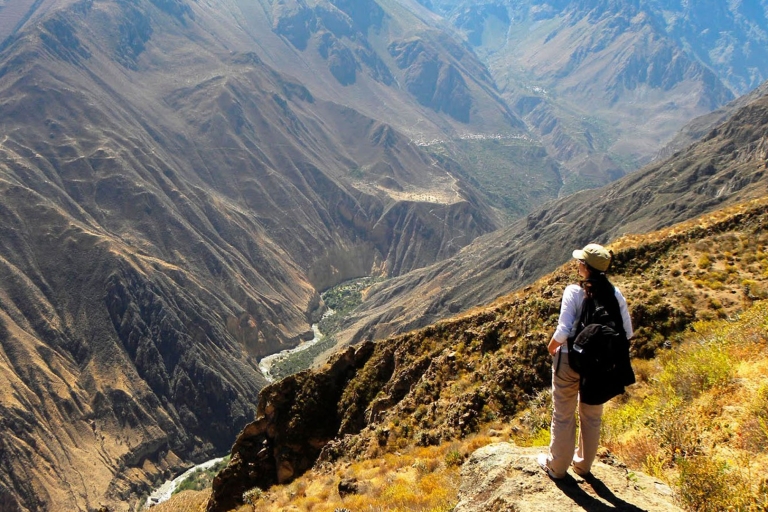 From Arequipa: Full Day Colca Canyon Tour Full Day Colca Canyon