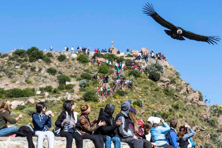 From Arequipa: Full Day Colca Canyon Tour Full Day Colca Canyon