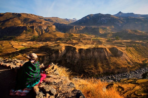 Desde Arequipa: Excursión de un día al Cañón del ColcaDía completo Cañón del Colca