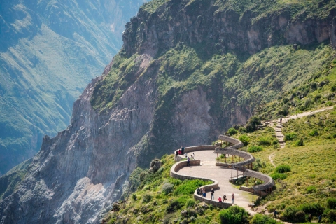 Van Arequipa: Colca Canyon-tour van een hele dagVolledige dag Colca Canyon