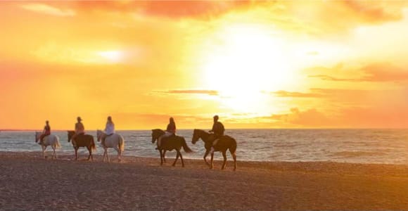 Rhodes Island: Horseback Riding at the Beach During Sunset
