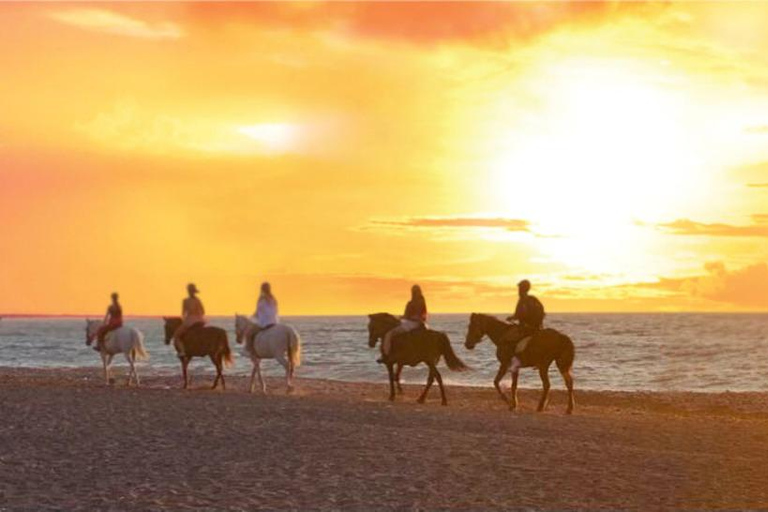 جزيرة رودس: ركوب الخيل على الشاطئ عند غروب الشمس
