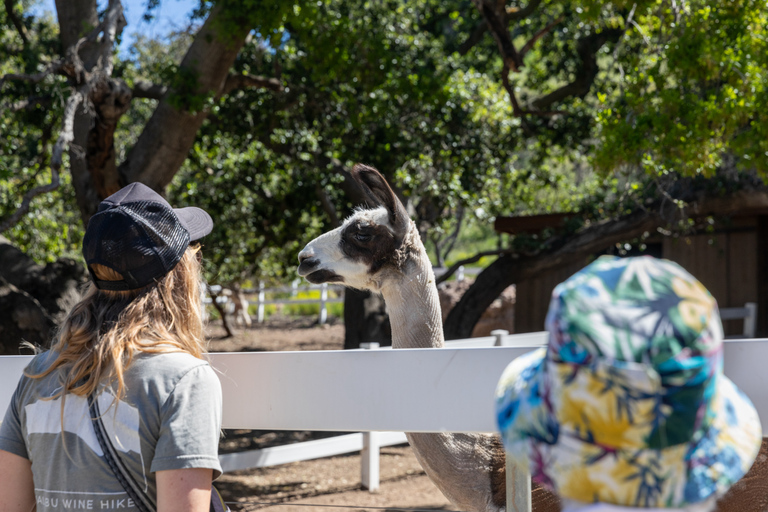 Malibu: Wijngaardwandeling met gids, fotostops en wijn