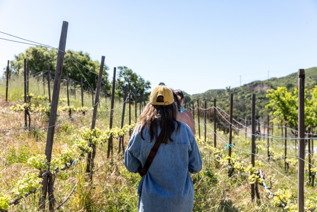Visit Malibu Guided Vineyard Hike with Photo Stops and Wine in Camarillo
