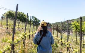 Malibu: Guided Vineyard Hike with Photo Stops and Wine